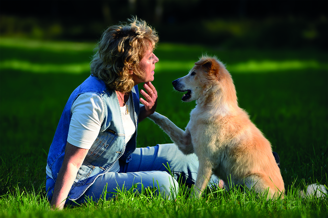 Hundeverhalten verstehen und kommunizieren