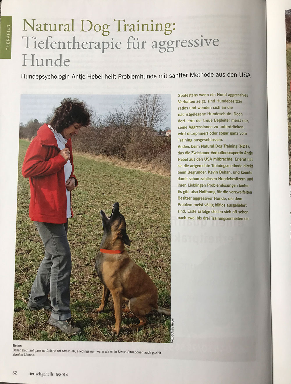 Antje Hebel Presse
