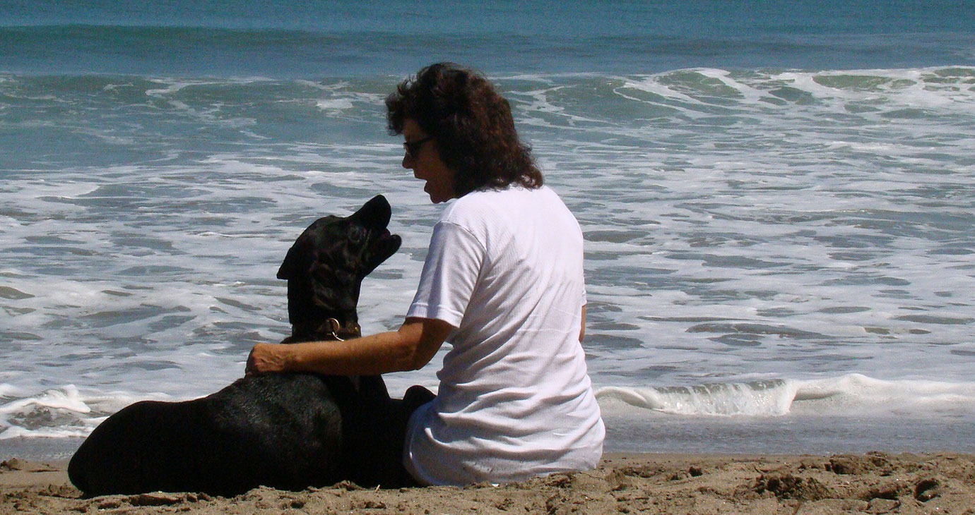 Urlaub mit Hund