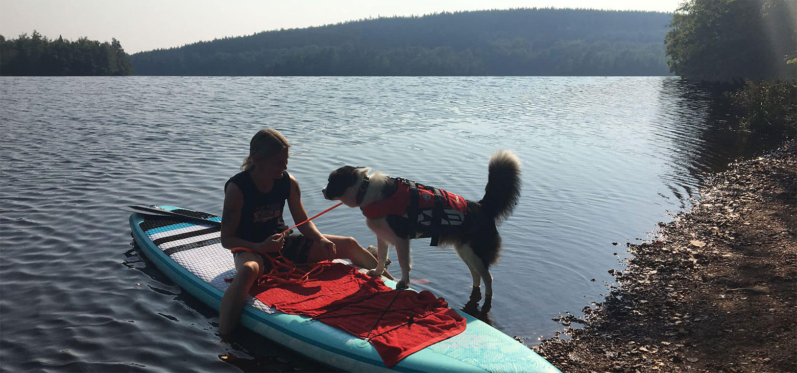 urlaub mit Hund Urlaub mit Hund am See