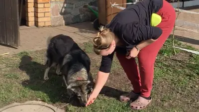 60d7b40f2a06a_nien Antje Hebel, Expertin für aggressives Hundeverhalten