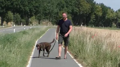627b50d986f63_edgoe Antje Hebel, Expertin für aggressives Hundeverhalten