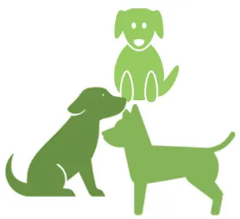 Antje Hebel, Expertin für aggressives Hundeverhalten