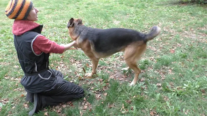 Antje Hebel, Expertin für aggressives Hundeverhalten