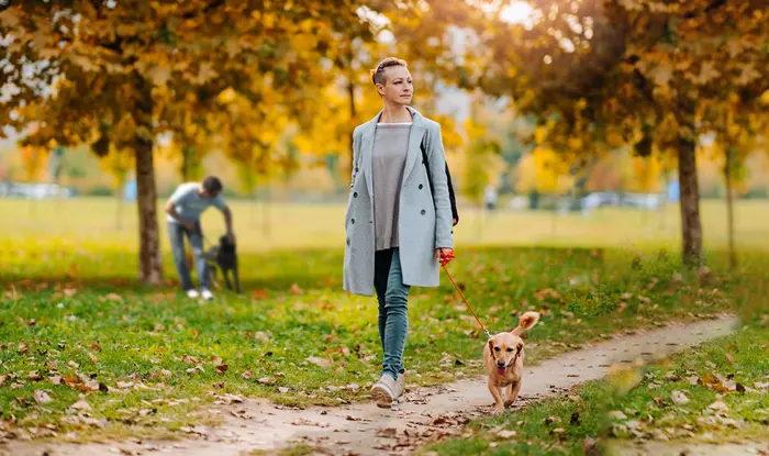 Antje Hebel, Expertin für aggressives Hundeverhalten