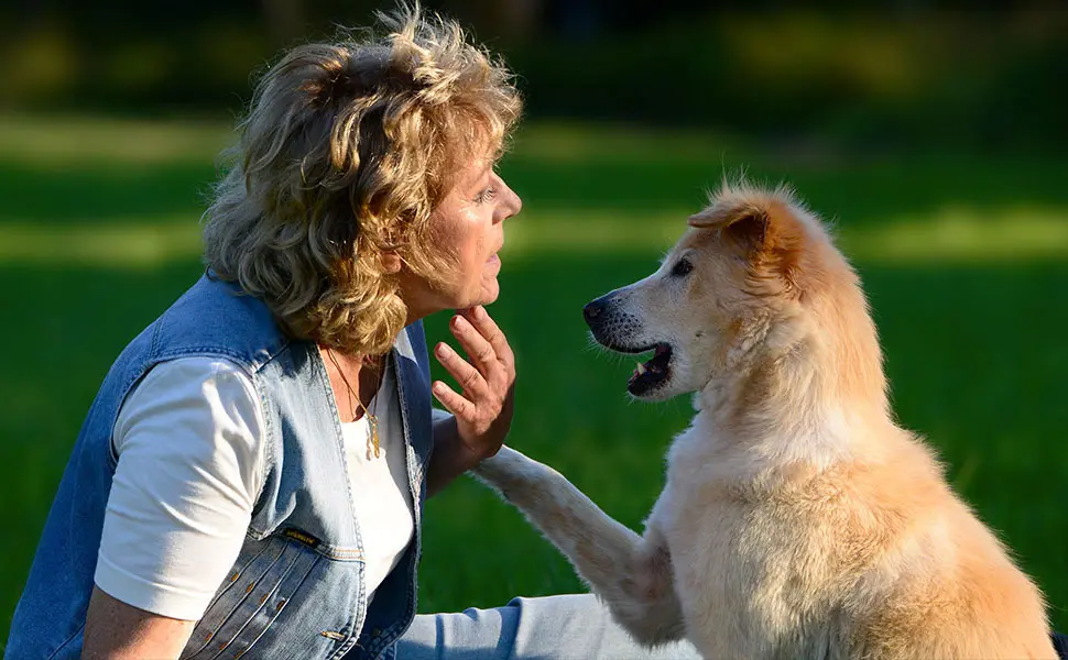 Antje Hebel, Expertin für aggressives Hundeverhalten
